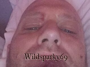 Wildsparky69