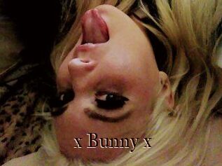 _x_Bunny_x_
