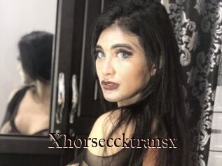Xhorseccktransx