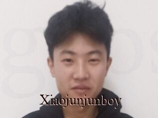 Xiaojunjunboy