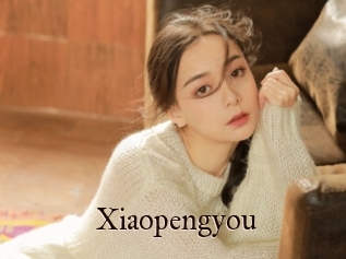 Xiaopengyou