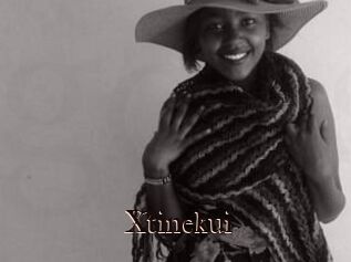 Xtinekui