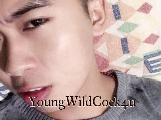YoungWildCock4u