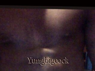Yungbigcock