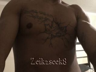 Zeik2seek8