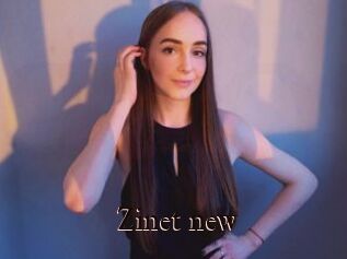 Zinet_new