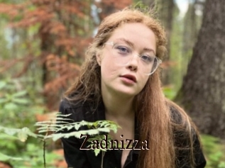Zadnizza