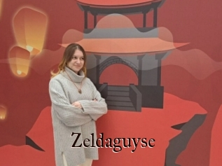 Zeldaguyse